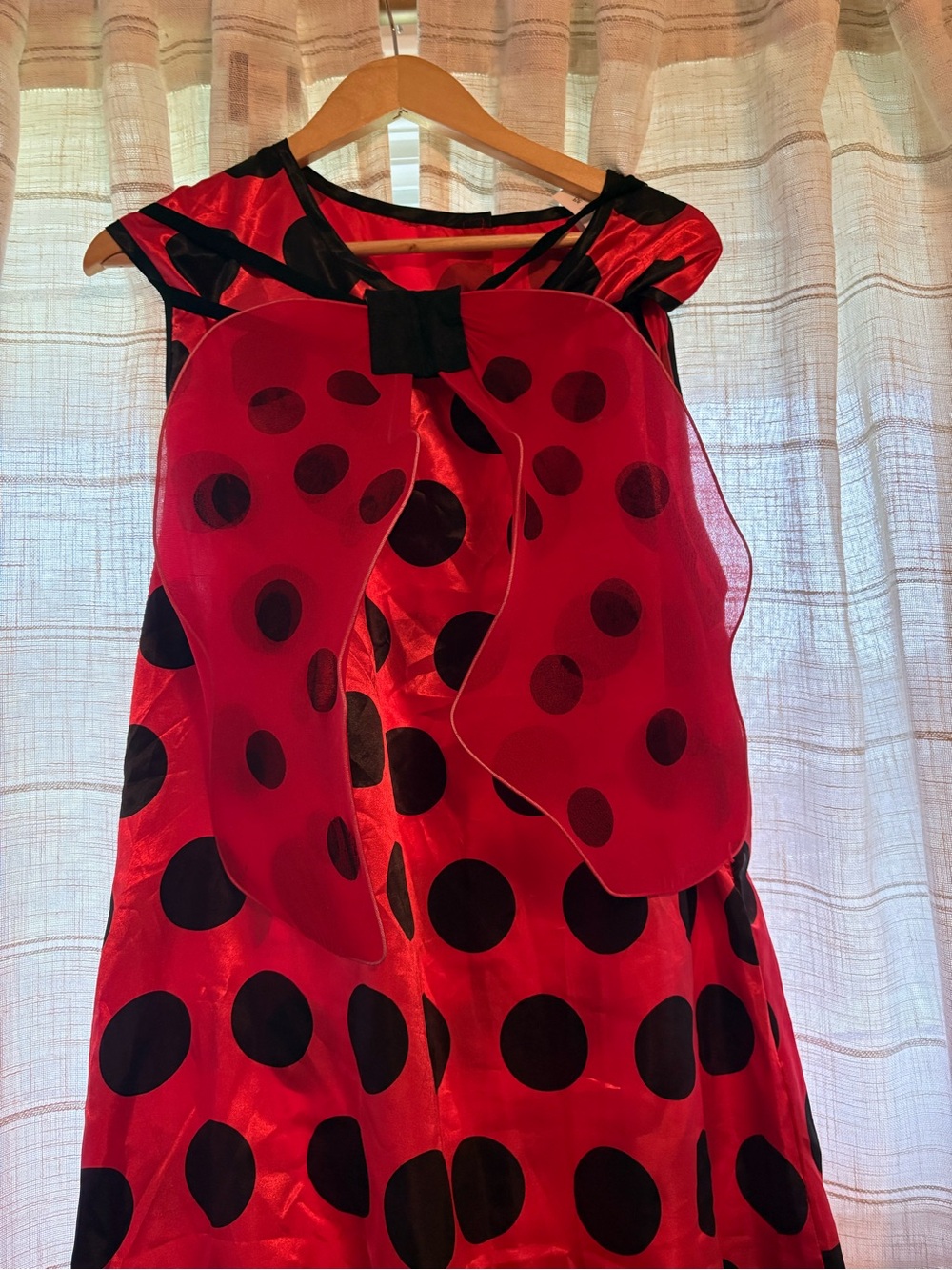 Women’s ladybug costume